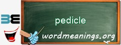 WordMeaning blackboard for pedicle